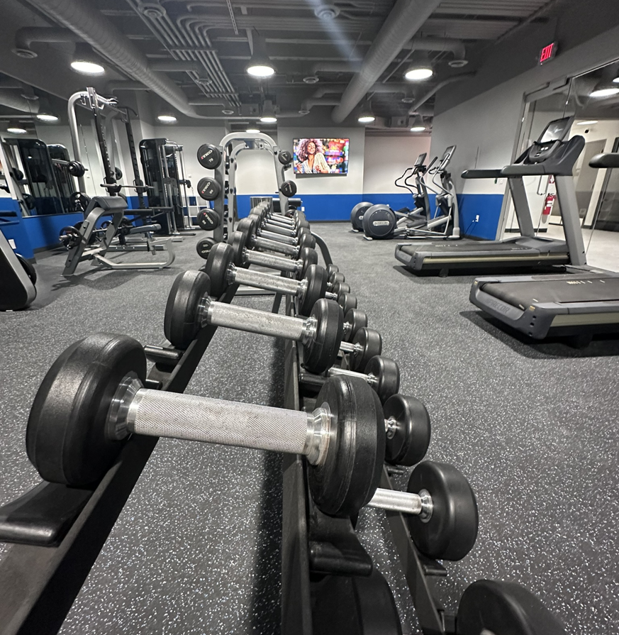 Inside gym - showing equipment & weights