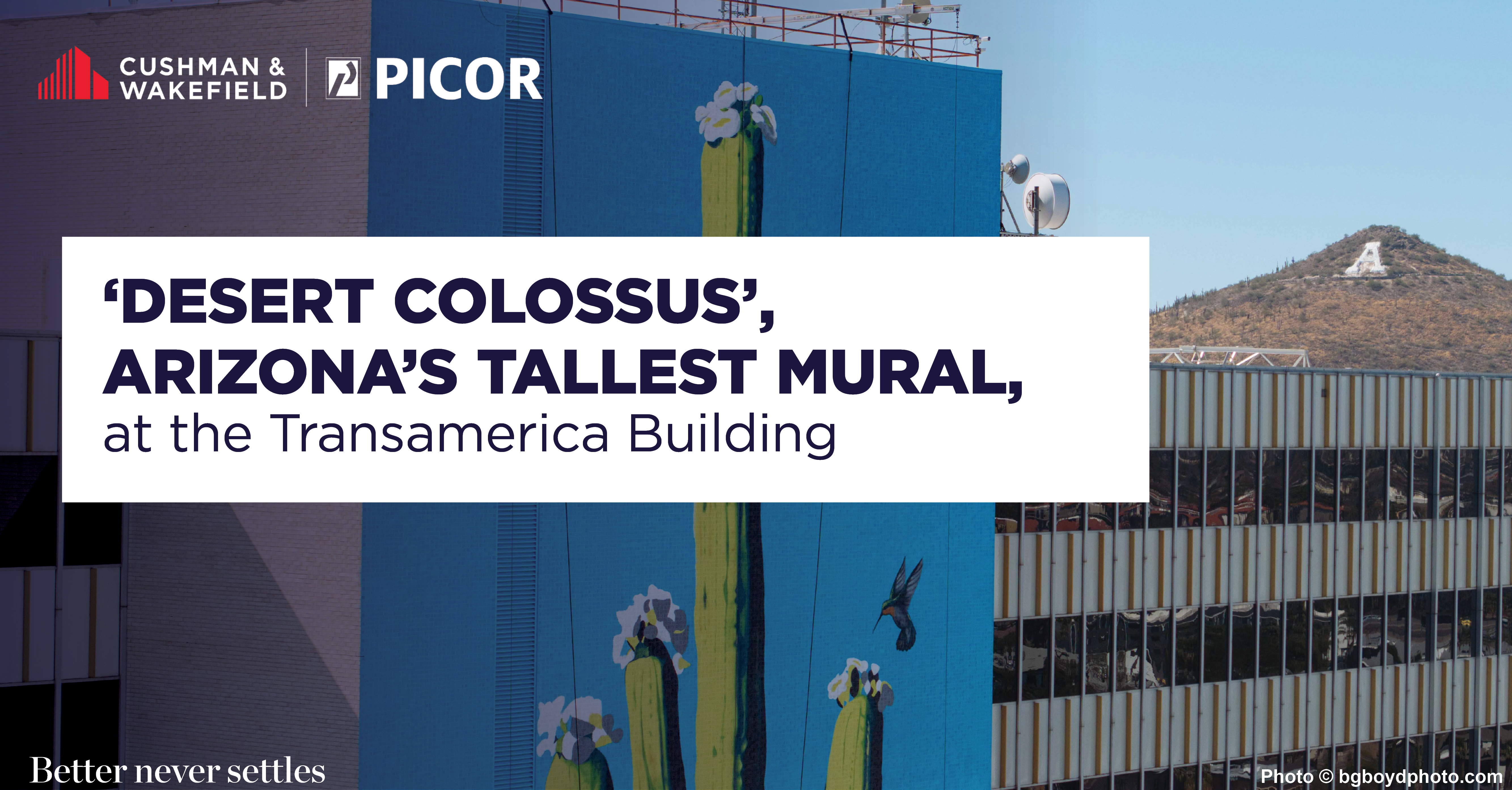 ‘Desert Colossus’, Arizona's Tallest Mural, at the Transamerica Building